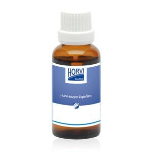 Horvi-Enzym-Ammodytes forte, Liquida